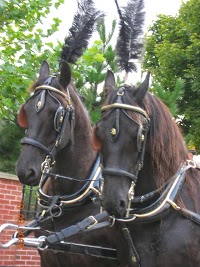 Benford Horse Drawn Carriages Ltd 1072326 Image 1